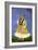 Portrait of Sayyid Shah Kallimullah Husayni-null-Framed Giclee Print