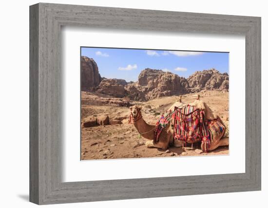 Portrait of Seated Camel with Colourful Rugs, Middle East-Eleanor Scriven-Framed Photographic Print