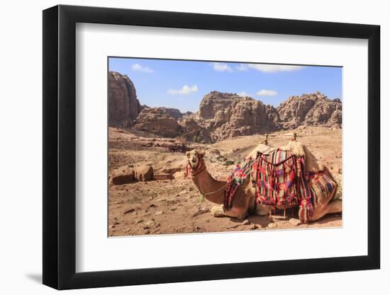 Portrait of Seated Camel with Colourful Rugs, Middle East-Eleanor Scriven-Framed Photographic Print