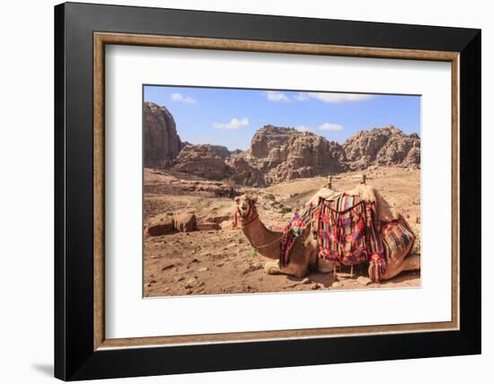Portrait of Seated Camel with Colourful Rugs, Middle East-Eleanor Scriven-Framed Photographic Print