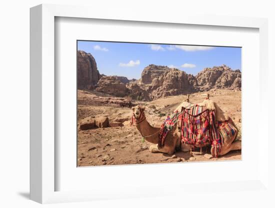 Portrait of Seated Camel with Colourful Rugs, Middle East-Eleanor Scriven-Framed Photographic Print