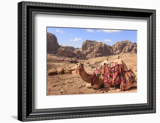 Portrait of Seated Camel with Colourful Rugs, Middle East-Eleanor Scriven-Framed Photographic Print