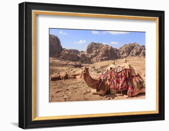 Portrait of Seated Camel with Colourful Rugs, Middle East-Eleanor Scriven-Framed Photographic Print