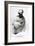 Portrait of Sheikh Ibrahim, or Johann Ludwig Burckhardt 1817-Henry Salt-Framed Giclee Print