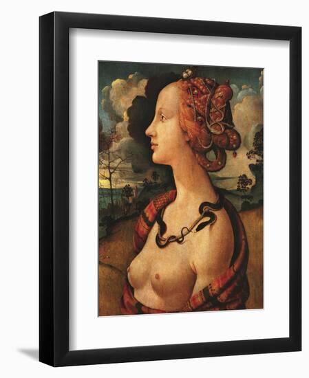 Portrait of Simonetta Vespucci, c. 1480-Piero di Cosimo-Framed Art Print