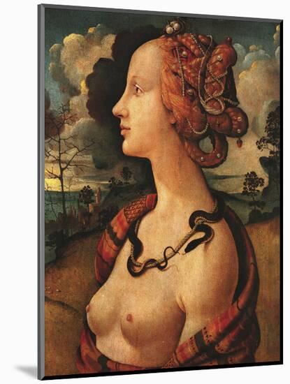 Portrait of Simonetta Vespucci, c. 1480-Piero di Cosimo-Mounted Art Print