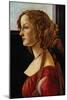 Portrait of Simonetta Vespucci-Sandro Botticelli-Mounted Art Print