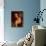 Portrait of Singer Actress Dorothy Dandridge-Ed Clark-Premium Photographic Print displayed on a wall