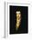 Portrait of Sir Andrew Agnew of Lochnaw, Seventh Baronet-Sir Henry Raeburn-Framed Giclee Print