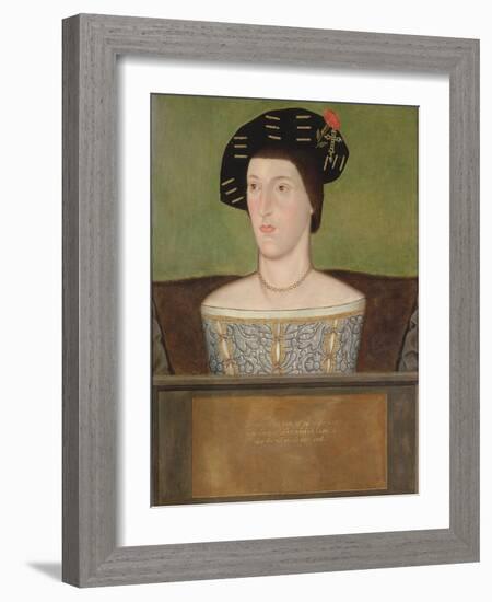 Portrait of Sir Anthony Browne (D.1548) (Oil on Panel)-English School-Framed Giclee Print