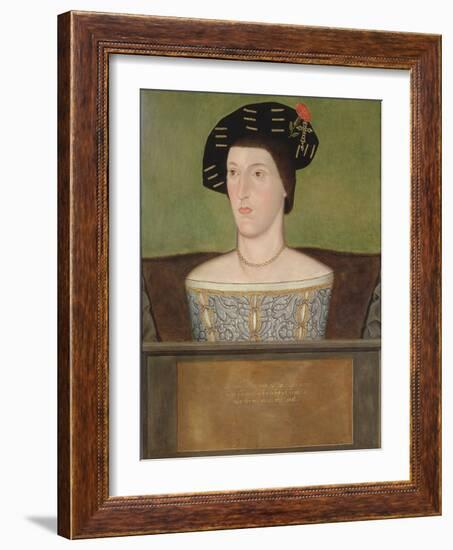 Portrait of Sir Anthony Browne (D.1548) (Oil on Panel)-English School-Framed Giclee Print