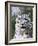 Portrait of Snow Leopard at the Sacramento Zoo, Sacramento, California, USA-Dennis Flaherty-Framed Photographic Print