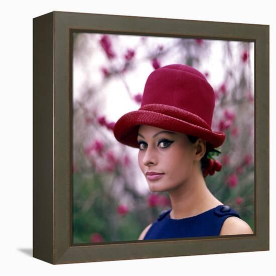 Portrait of Sophia Loren-Mario de Biasi-Framed Premier Image Canvas