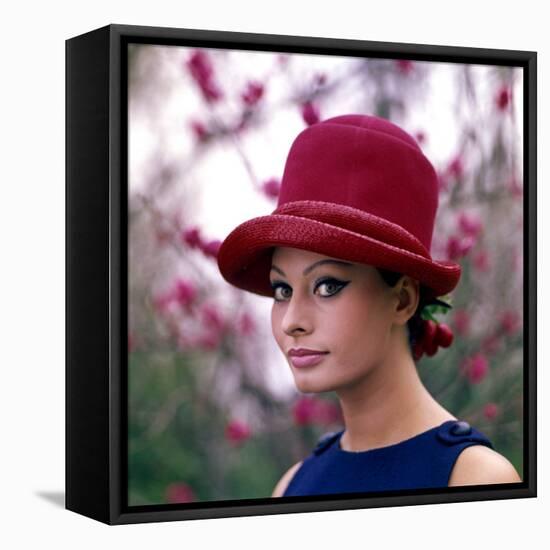 Portrait of Sophia Loren-Mario de Biasi-Framed Premier Image Canvas