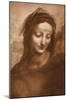 Portrait of St. Anne by Leonardo da Vinci-Bettmann-Mounted Giclee Print
