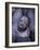 Portrait of Surma Child, Ethiopia-Gavriel Jecan-Framed Photographic Print