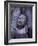 Portrait of Surma Child, Ethiopia-Gavriel Jecan-Framed Photographic Print