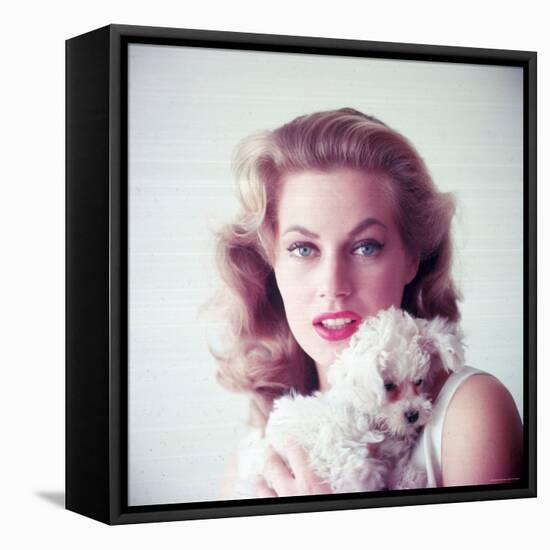 Portrait of Swedish Born Actress Anita Ekberg Holding Small Dog-Allan Grant-Framed Premier Image Canvas