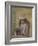 Portrait of the Artist’s Daughter, 1872-Camille Pissarro-Framed Giclee Print