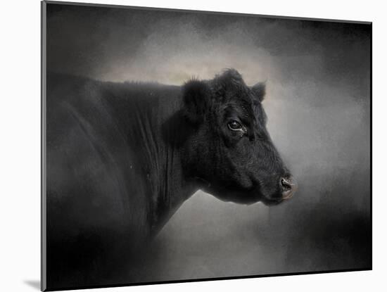 Portrait of the Black Angus-Jai Johnson-Mounted Giclee Print