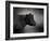 Portrait of the Black Angus-Jai Johnson-Framed Giclee Print