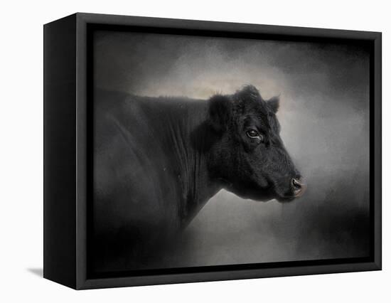Portrait of the Black Angus-Jai Johnson-Framed Premier Image Canvas