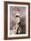 Portrait of the Countess Zichy, 1905-Giovanni Boldini-Framed Giclee Print