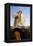 Portrait of the Duchess of Urbino, Battista Sforza-Piero della Francesca-Framed Premier Image Canvas