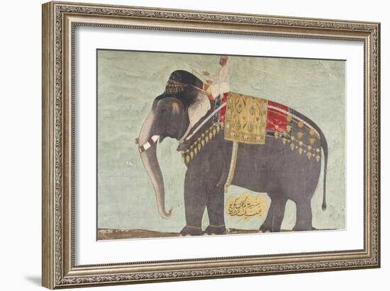 Portrait of the Elephant "Alam-Guman Gajraj", circa 1650-null-Framed Giclee Print