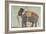 Portrait of the Elephant "Alam-Guman Gajraj", circa 1650-null-Framed Giclee Print