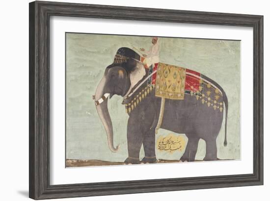 Portrait of the Elephant "Alam-Guman Gajraj", circa 1650-null-Framed Giclee Print