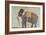 Portrait of the Elephant "Alam-Guman Gajraj", circa 1650-null-Framed Giclee Print