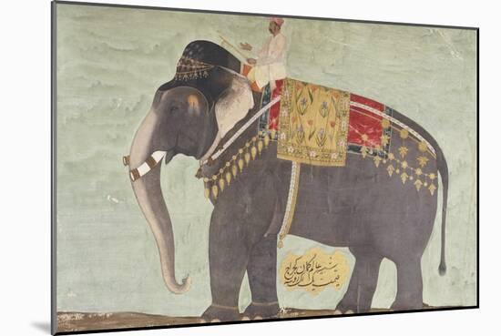 Portrait of the Elephant "Alam-Guman Gajraj", circa 1650-null-Mounted Giclee Print