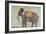 Portrait of the Elephant "Alam-Guman Gajraj", circa 1650-null-Framed Giclee Print