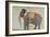 Portrait of the Elephant "Alam-Guman Gajraj", circa 1650-null-Framed Giclee Print