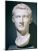 Portrait of the Emperor Caligula, 37-40 AD (Marble)-Roman-Mounted Giclee Print