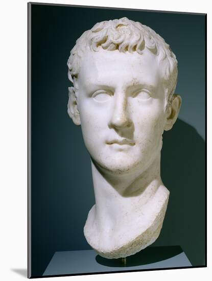 Portrait of the Emperor Caligula, 37-40 AD (Marble)-Roman-Mounted Giclee Print