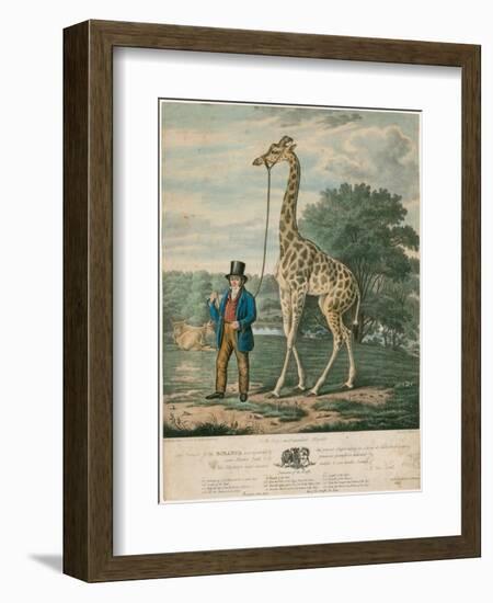 Portrait of the Giraffe, 1827-Abraham Bruiningh van Worrell-Framed Giclee Print