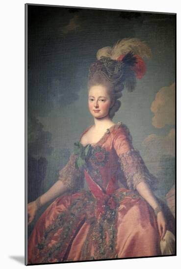 Portrait of the Grand Duchess Maria Feodorovna, 1777-Alexander Roslin-Mounted Giclee Print