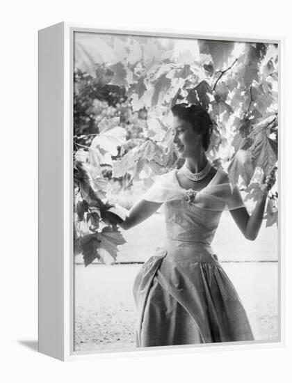 Portrait of the Late Princess Margaret, Countess of Snowdon, 21 August 1930 - 9 February 2002-Cecil Beaton-Framed Premier Image Canvas