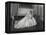 Portrait of the Late Princess Margaret on Her Wedding Day-Cecil Beaton-Framed Premier Image Canvas