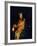 Portrait of the One-Armed Painter Martin Ryckaert-Sir Anthony Van Dyck-Framed Giclee Print