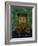 Portrait of the Postman Joseph Roulin, c.1889-Vincent van Gogh-Framed Giclee Print