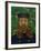 Portrait of the Postman Joseph Roulin, c.1889-Vincent van Gogh-Framed Giclee Print