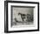 Portrait of the Racehorse Harkaway Who Won the 1838 Goodwood Cup in His Stable-W.b. Scott-Framed Photographic Print