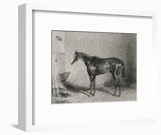 Portrait of the Racehorse Harkaway Who Won the 1838 Goodwood Cup in His Stable-W.b. Scott-Framed Photographic Print