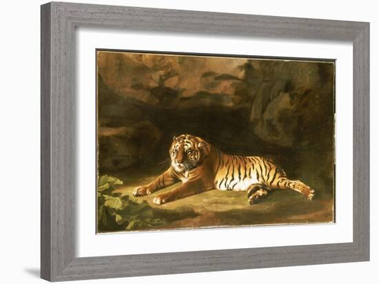 Portrait of the Royal Tiger, C.1770-George Stubbs-Framed Giclee Print