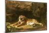 Portrait of the Royal Tiger, C.1770-George Stubbs-Mounted Giclee Print