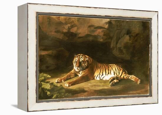 Portrait of the Royal Tiger, C.1770-George Stubbs-Framed Premier Image Canvas