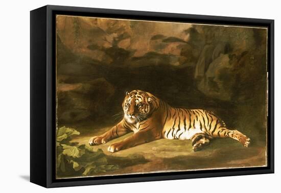 Portrait of the Royal Tiger, C.1770-George Stubbs-Framed Premier Image Canvas